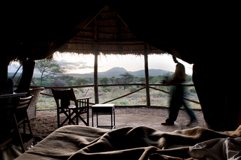 Kambi Ya Tembo: Zimmerservice