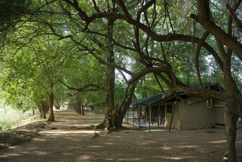 Lale's Camp: Gästezelte