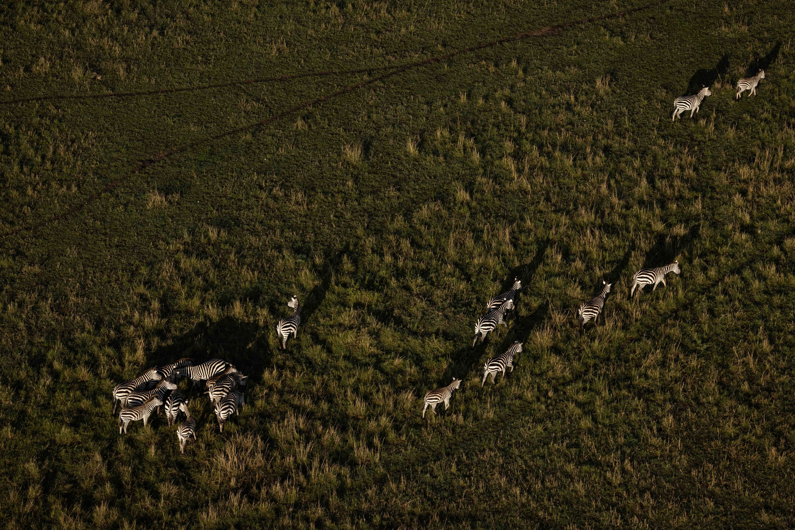 Mahali Mzuri Mahali Mzuri: Zebras aus der Luft