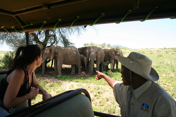 Mdonya Old River Camp: Game Drive