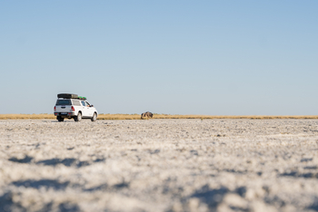 Nata Lodge Nata Lodge: Tour durch das Bird Sanctuary