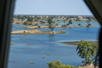 Pom Pom Camp: Insellandschaft