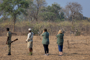 Royal Zambezi Lodge: Wander-Safari