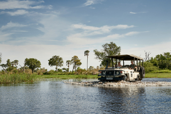 Sanctuary Baines Camp: Game Drive durch Flutgelände