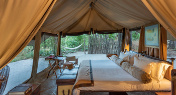 Selinda Explorers Camp Selinda Explorers Camp: Doppelbett