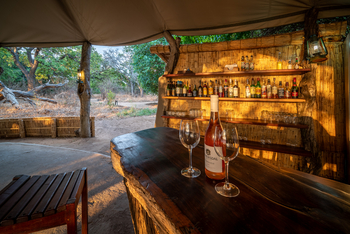 Tena Tena Camp Tena Tena Camp: Bar