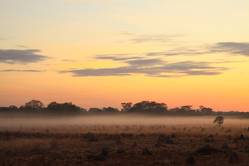 Wasa Lodge: Morgennebel