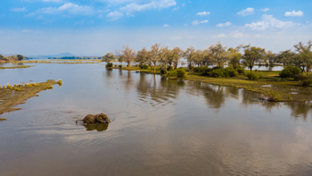 Amanzi Camp: Elefanten bulle im Fluss