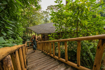 Buhoma Lodge: Treppe