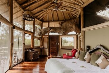 Elewana Tarangire Treetops: Interior Suite