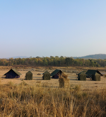 Forsyth Lodge Forsyth Lodge: Gäste- und Toilettenzelte