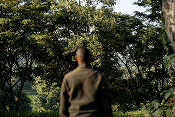 Gibb's Farm: Guide und Landschaft