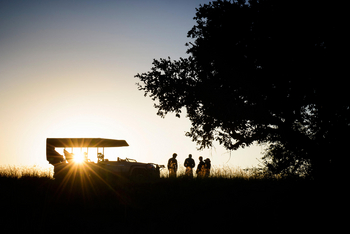 Ila Safari Lodge Ila Safari Lodge: Game Drive