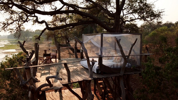 John's Camp John's Camp: Sleep-out Platform