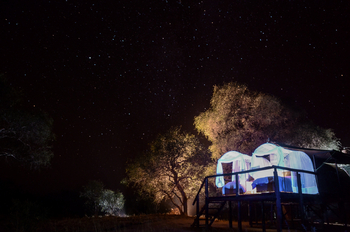 Jozibanini Camp Jozibanini Camp: Zelt unter Sternenhimmel