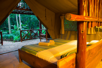 Kibale Forest Camp: Gästezelt mit privatem Bad