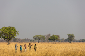 Luambe Camp: Walking Safari