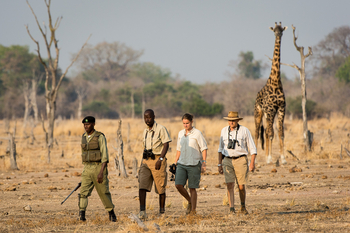 Luangwa Bush Camping Luangwa Bush Camping: Walking Safari
