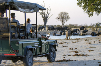 Nehimba Lodge: Game Drive