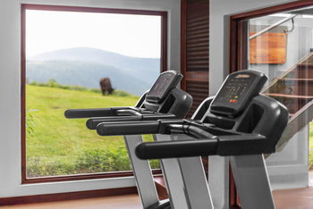 Ngorongoro Lodge Melia Collection: Gym