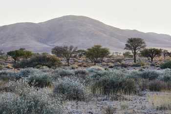 Nooishof: Landschaft