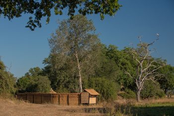 Nsefu Camp: Beobachtungsunterstand