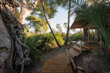 Pelo Camp: Zugang zum Zelt