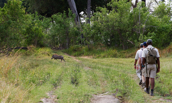 Shinde Lodge Shinde Lodge: Zu Fuß durch den Busch