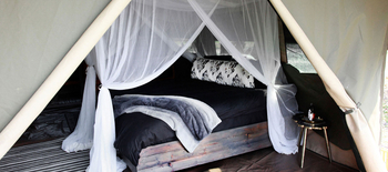 Shoebill Island Camp Shoebill Island Camp: Bett unter Moskitonetz