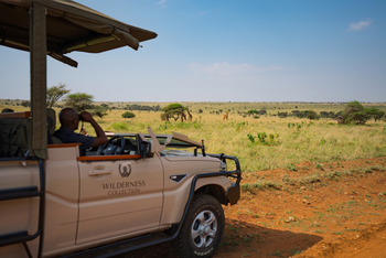 Warangi Ridge: Game Drive