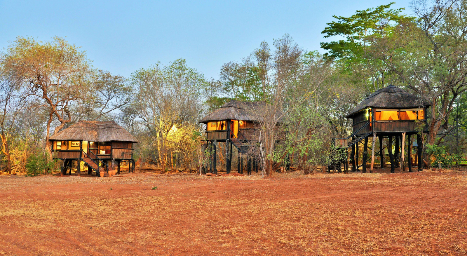 Ivory Safari Lodge Ivory Safari Lodge: Treehouses