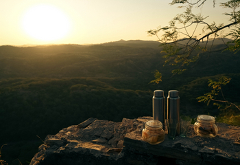 Brij Lakshman Sagar: Sonnenaufgang