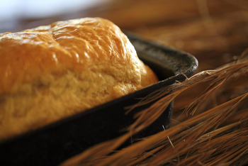 Flatdogs Camp: Essen und Trinken