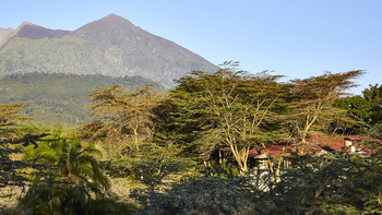 Hatari Lodge: Mt. Meru hinter der Lodge