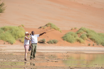 Hoodia Desert Lodge: Seltenes Wasser im Sossusvlei