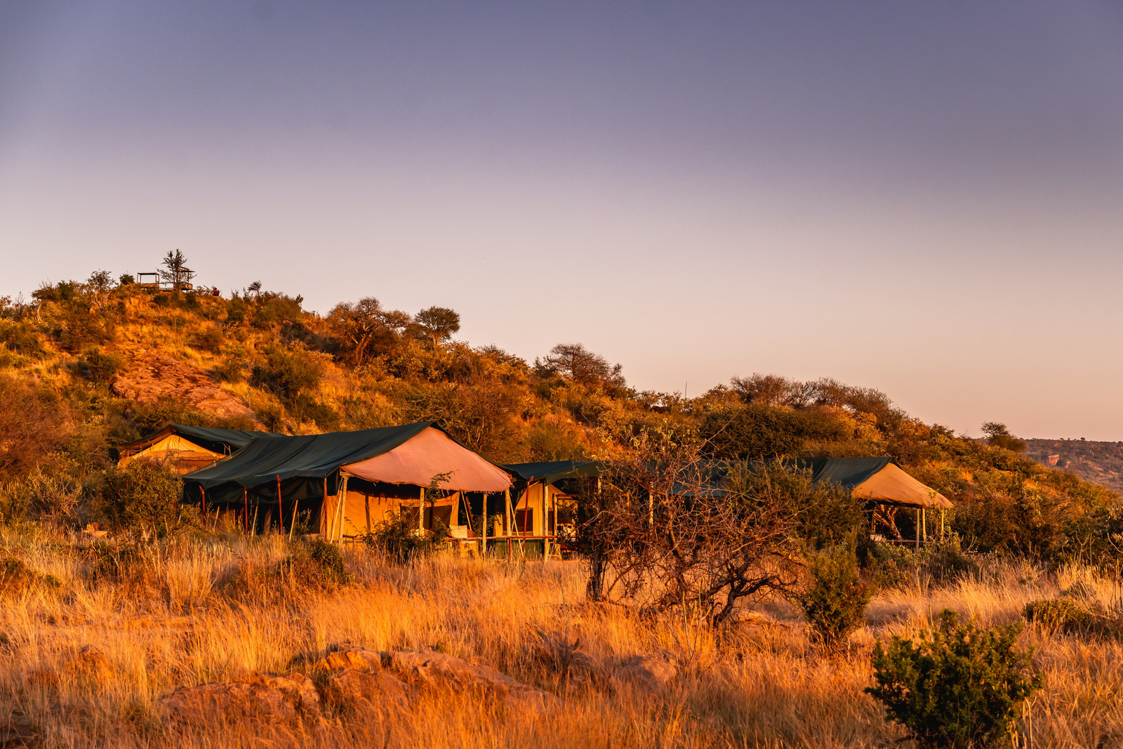 Laikipia Wilderness Camp Laikipia Wilderness Camp: Camp in der Abendsonne