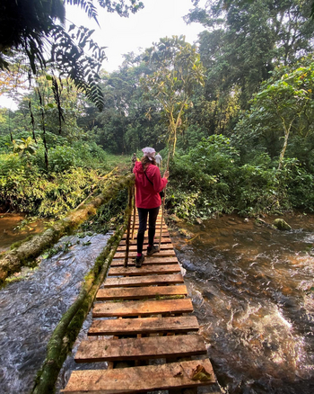 Mahogany Springs Safari Lodge: Gorilla Tracking