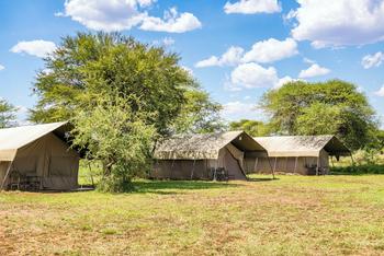 Ronjo Camp: Campsite