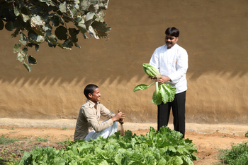 Samode Safari Lodge Samode Safari Lodge: Im Lodge-eigenen Gemüsegarten
