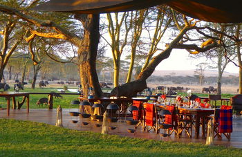 Sirikoi Lodge Sirikoi Lodge: Büffel in der Nachbarschaft vom Camp