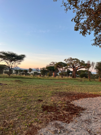 Tarangire Kati Kati Tented Camp: Blick von der Lodge aus