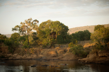 The Nest Treehouse: Exterior