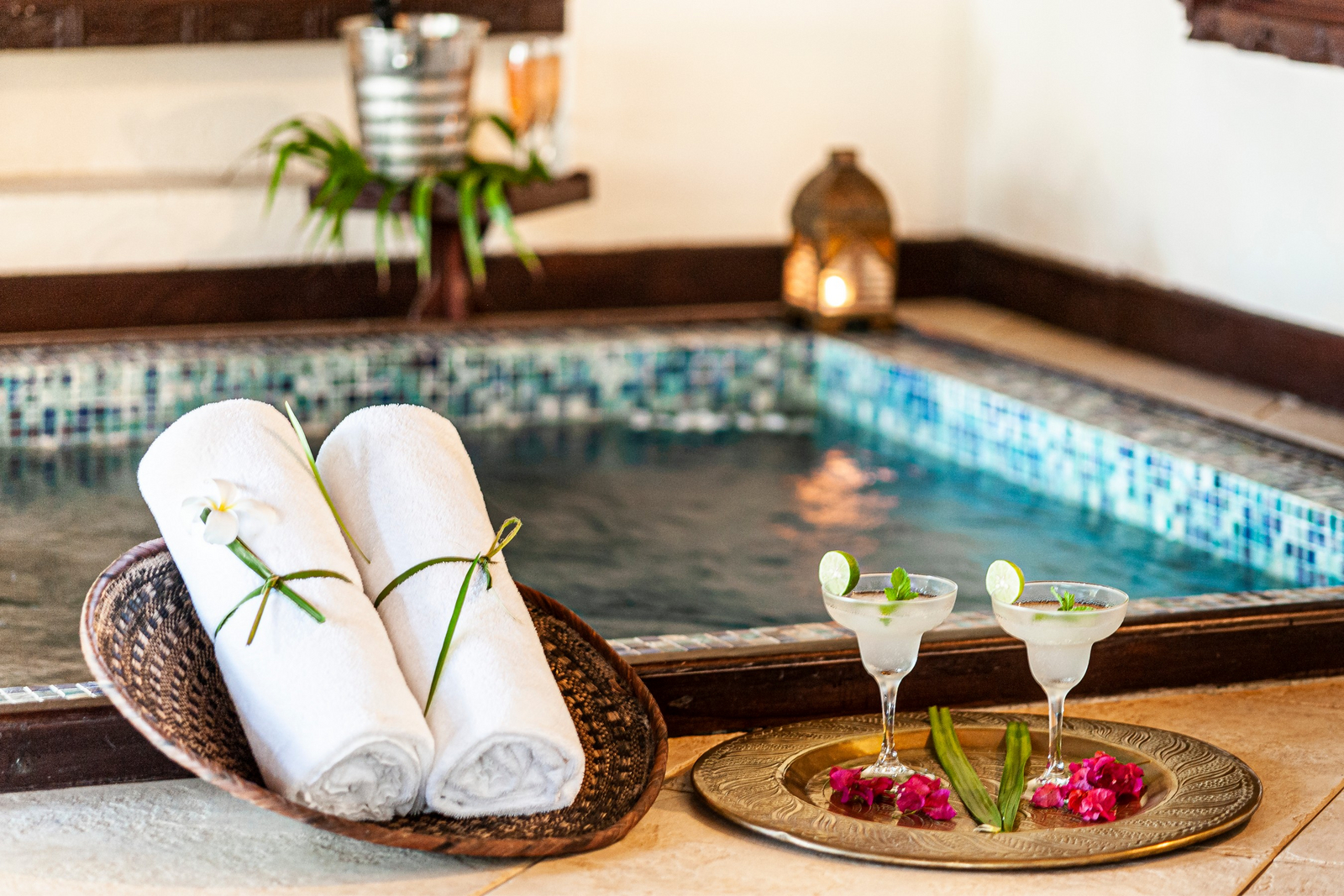 The Palms The Palms: Plunge Pool