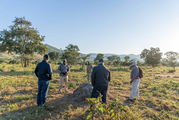 Time + Tide Chongwe Camp: Walking Safari