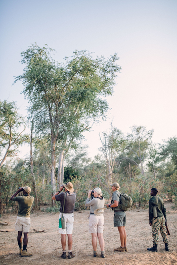 Classic Zambia Safaris Classic Zambia Safaris: Walking Safari