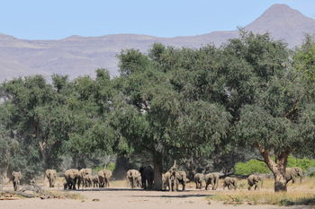 Doro Nawas Camp Doro Nawas Camp: Landschaft um Doro Nawas