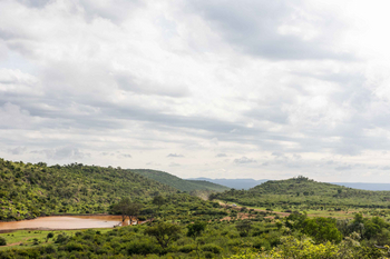 Jamala Madikwe: Überwältigende Savannenlandschaft unter bewölktem Himmel