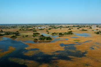 Macatoo Camp: Geflutetes Grasland
