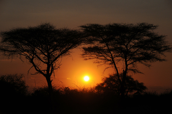 Mwagusi Safari Camp: Sonnenuntergang