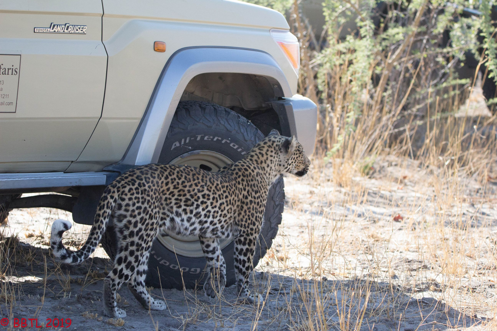 Okavango Expeditions Okavango Expeditions